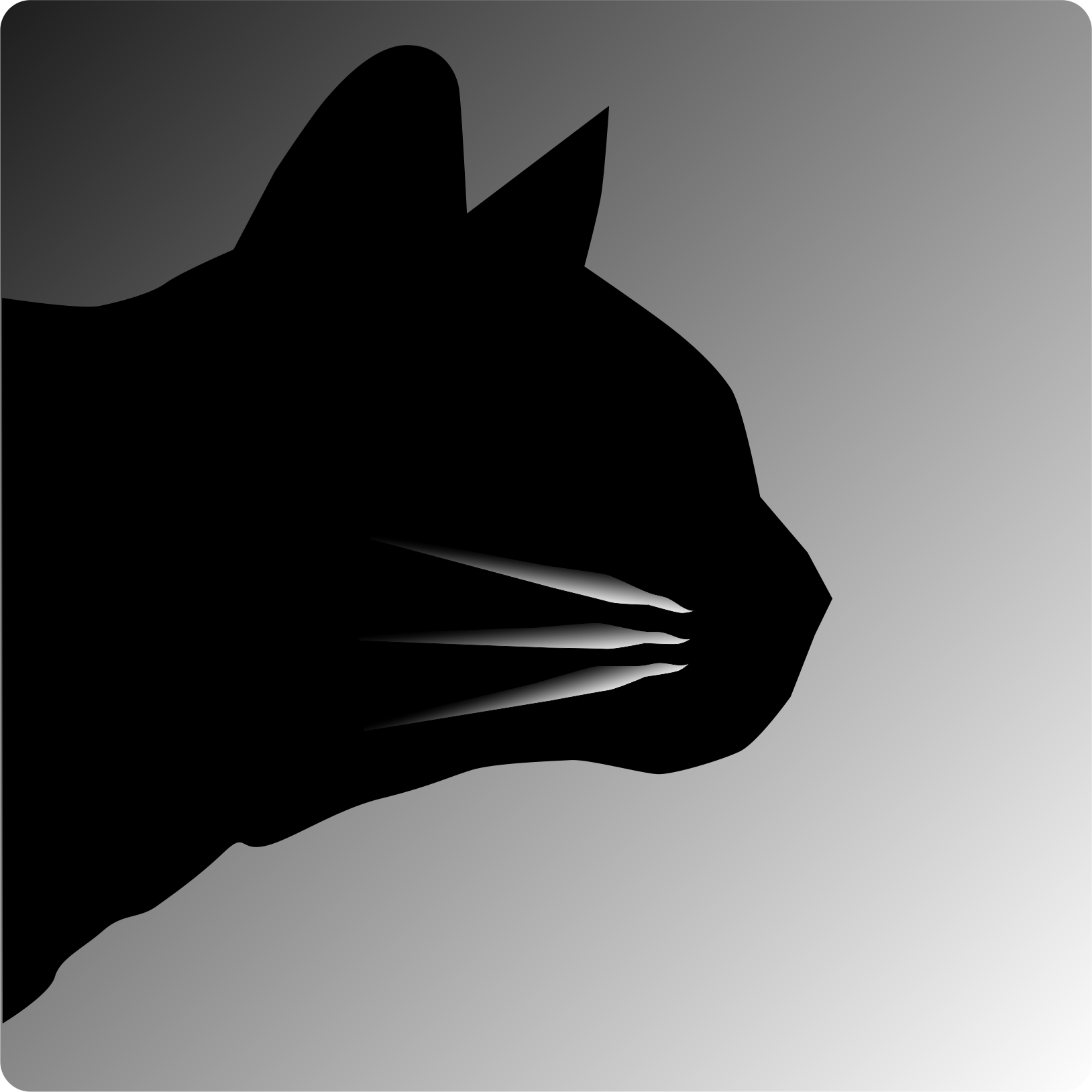 Ink Photo AnimationLogo